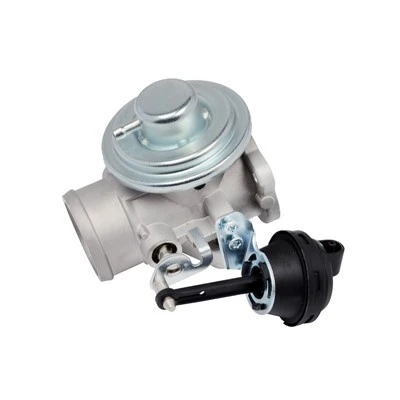 038131501AQ OEM Standard EGR Valv pou aplikasyon motè VW ERA:555074